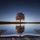 Time To Reflect, Live Your Best Life